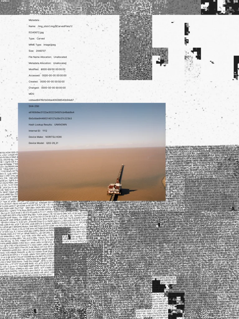 Collected Memory_carved from the fragmented past