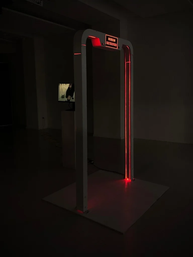Project: identified