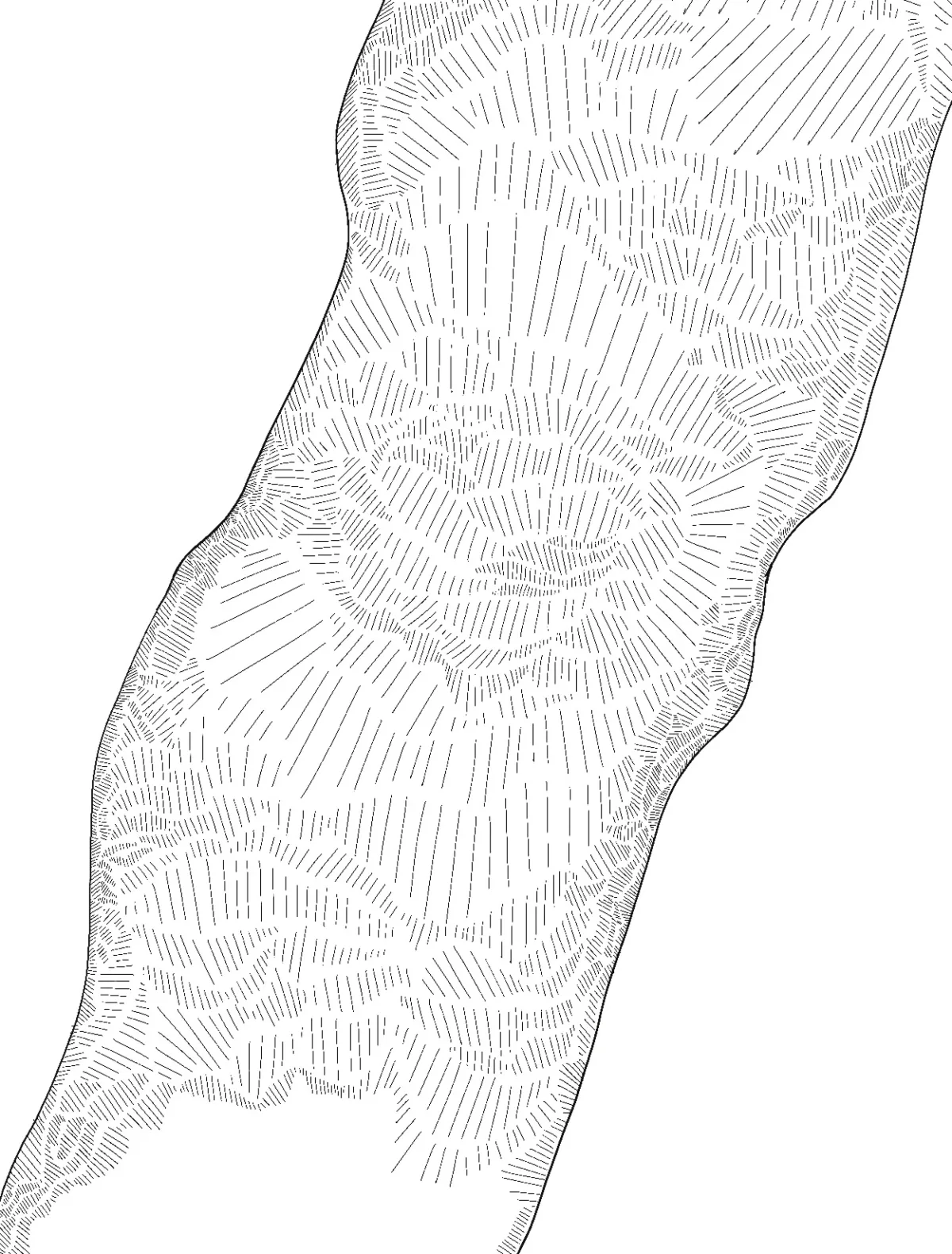 untitled_artwork-18-1.png