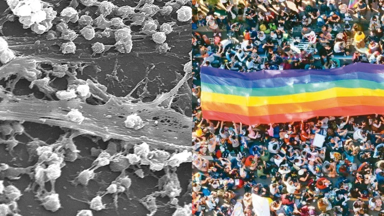 Biopolitics and resistance of life